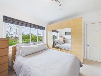 Picture 23